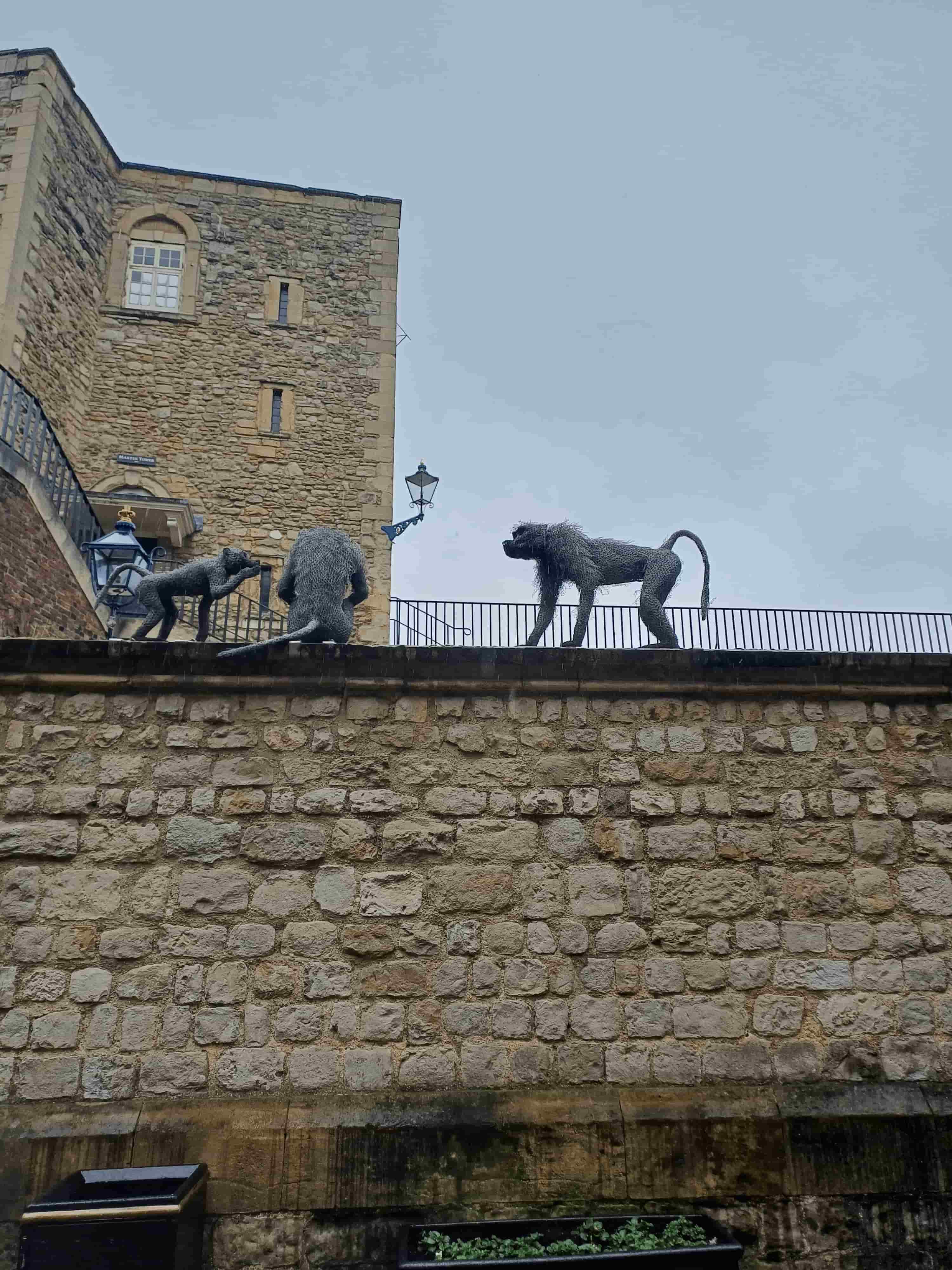 singes
